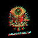    Mâverâ İslâmiye Discord Server Icon