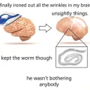 Kept the worms MC