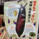 いろなす～北海道の天然茄子～