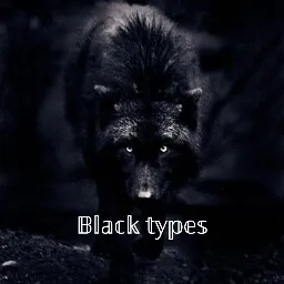 Black types — Дискорд Сервер