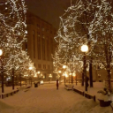 Discovery icon for illusion 🎄 christmas Discord server