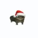 bestest server Discord Server Icon
