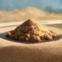 Sandy’s Sand Dune
