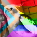 Bird Roommates