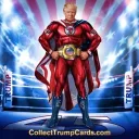 Collect Trump Trading Cards