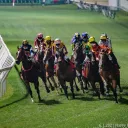 Hong Kong Racing