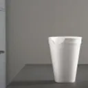 Styrofoam House Discord Server Icon