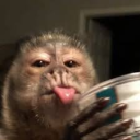 TheMonkeyHangout (TMH) Discord server icon