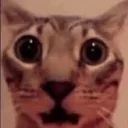 OLD/TO BE CLOSED Discord Server Icon