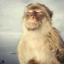 Коварные реально