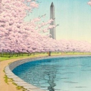 𝕋𝕙𝕖 ℂ𝕖𝕣𝕦𝕝𝕖𝕒𝕟 𝕊𝕦𝕞𝕞𝕚𝕥♢ Discord server icon