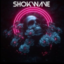 Discovery icon for Shokwave Sucks At Discord Discord server