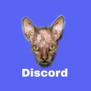 Calm Cat🎅🎄 #100's icon