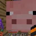 Shit My Pants SMP
