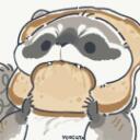 Raccoon O'Neal Discord Server Icon
