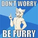 The Furry Room