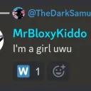MrbloxyKiddo lost history