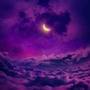 Purple Paradise | 紫の楽園