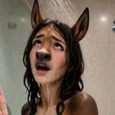 TF AND FURRY COMMUNITY