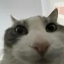 lois' nerdy deep dive