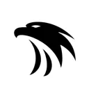 Black Eagles Investment Group