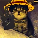 MONKEY D LUFFY