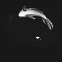 ɪɴ ᴛᴏ ʏŌ ᴀᴄᴀᴅᴇᴍʏ - 陰と陽 Discord Server Icon