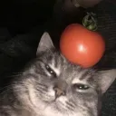ТАК АЛЁ Я НЕ ПОНЯЛ ЭТО ЧЁ?