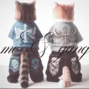 daisyz town ꒱⋆·˚ ༘ * Discord Server Icon