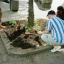 Guerrilla Gardening