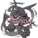 Illinois VGC
