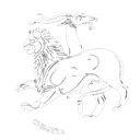 Chimera Studies and Observations Group