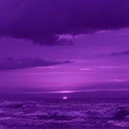 💜Sky and star💜 — мониторинг Discord сервера, статистика и рейтинг