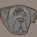 Doge