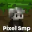 👾 PixelSMP