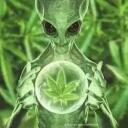 ALEIN Discord Server Icon