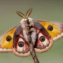 The Pond :3 Discord Server Icon