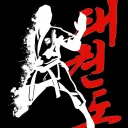 Taekwondo-Hub (태권도-훕) Discord Server Icon