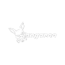 Kangaroo Team
