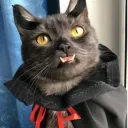 Grace's Halloween