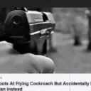 ❄COOLPEOPLE CLUB❄'s icon