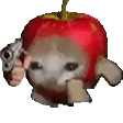 @w0rpsi
