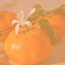 🍊~Hotel Tangerine: Interdimensional Hotel & Resort~🍊 (OC/MULTIFANDOM ROLEPLAY SERVER)
