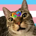 The Trans Autistic Society Discord Server Icon