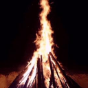 The BonFire Server Icon