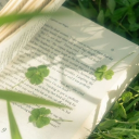 Discovery icon for (  🥛᪶  )     /yokashi   ✿    ₍ 1.3 ₎    gws     .     social    .  active  ♡֯    ｡ Discord server