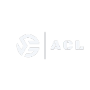 Discovery icon for VirtuaLeagues  (ACL | Rematch) Discord server