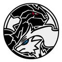 ZekromStadium   Discord Server Icon
