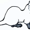 Polecat's Scambaiting