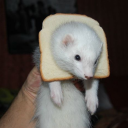 ðŸ¯ðŸŠ  ð“‚ï½…&amp;sigma;ï½— Ð¼ð“”&amp;Oslash;ð”´  ðŸ”â™¤ Server Icon